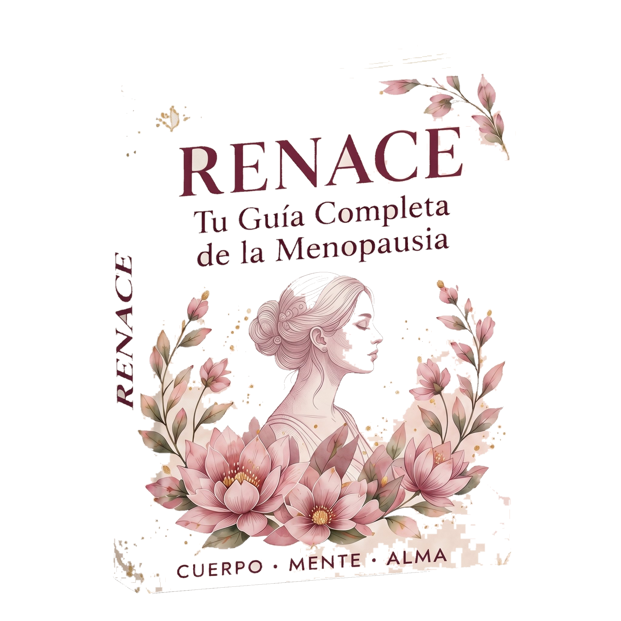 RENACE – Tu Guía Completa de la Menopausia